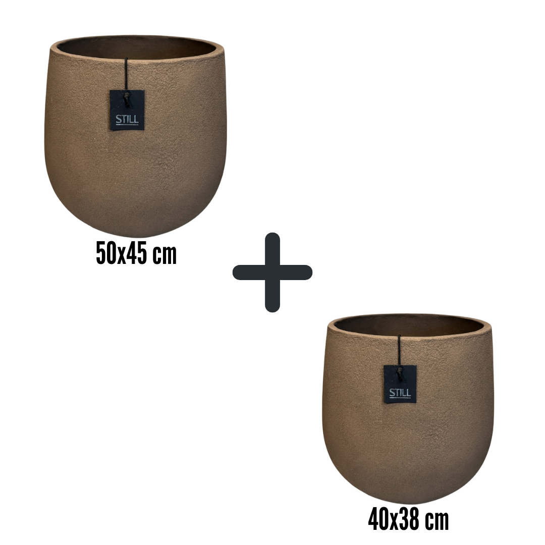 Palm pot set L/M Espresso