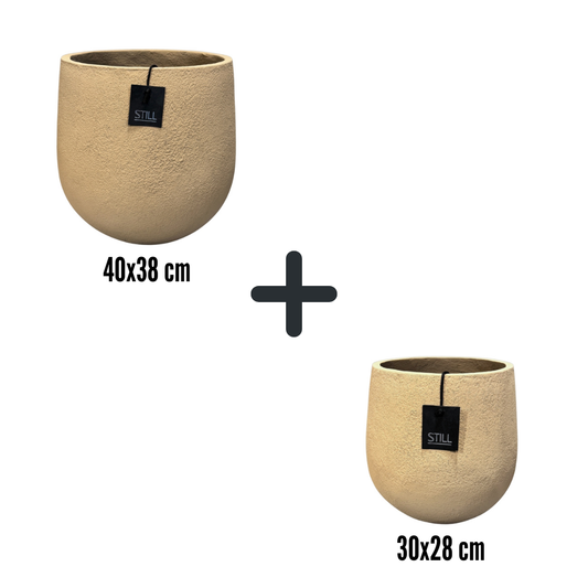 Palm pot set M/S Butter
