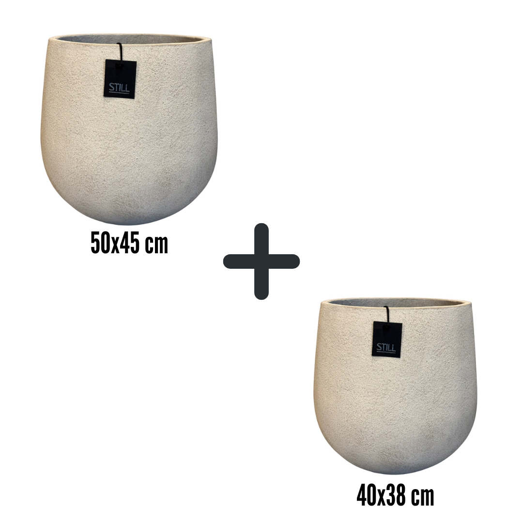 Palm pot set L/M Light